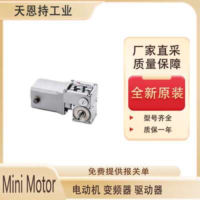 意大利 Mini Motor-BCE2000-24MP带行星减速的蜗轮蜗杆电机  厂家