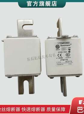 170M5927 5928 5929 5930 5931 巴斯曼bussmann快速熔断器保险丝