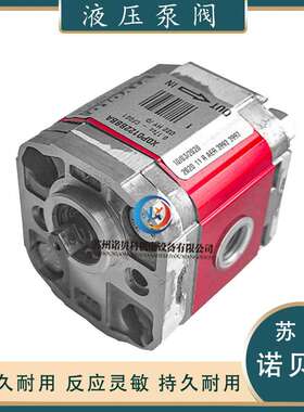 意大利维沃尔VIVOLO齿轮泵X0P0122BBBA X2P4702EOOA液压油泵