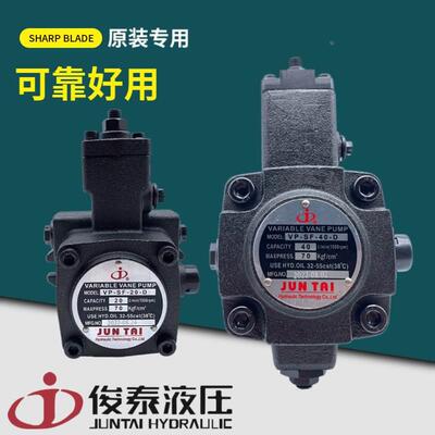 【铛裆机械】JUNTAI俊泰油泵VP-SF-40-D 30-D 120KG公斤叶片泵 20