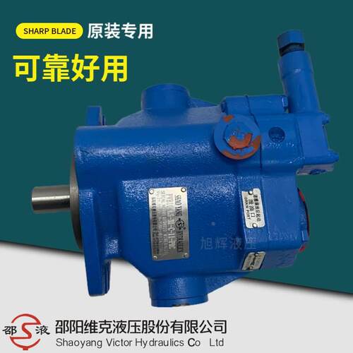 【铛裆机械】邵阳维克PVB5-LS-20-C-11-PRC柱塞泵 RSW-20-CC PVB6