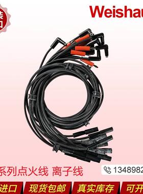 【铛裆机械】Weishaupt威索点火线离子线WG30N/1-C WG20N WG10N W