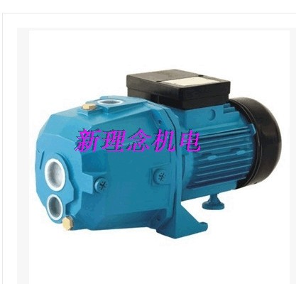 利欧水泵 喷射XDPM370A/XDPM505A  抽水泵 1.2*1*1 大棚灌溉泵,鲜花速递/花卉仿真/绿植园艺,割草机/草坪机,淘宝优惠券,粉丝福利购,淘宝优惠卷