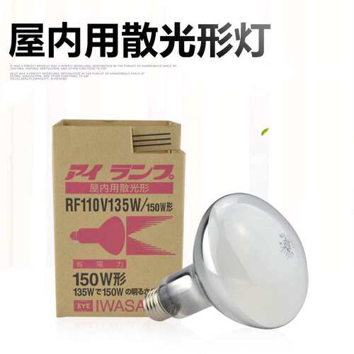 岩崎屋内投光灯EYE RF110V135W 省电力形灯泡EYE RF110V135W