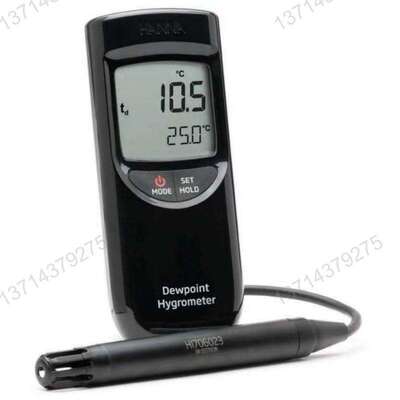 Hanna Instruments HI 9565 湿度计