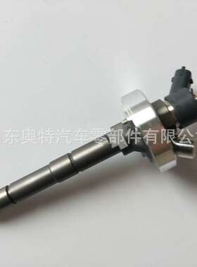 喷油器总成 0445110857 0445110491 0445110795