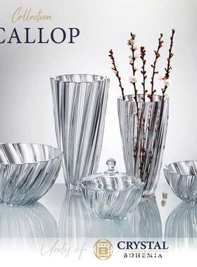 捷克BOHEMIA原装进口水晶玻璃花瓶果斗现代简约插花软摆件SCALLOP