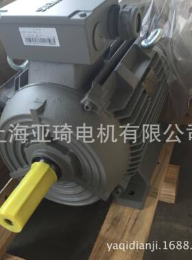 1LE0001-1DA33-3AA4 （B3-K11-15KW）电动机