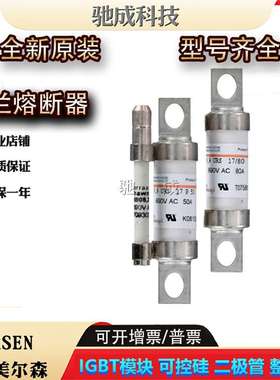 美尔森BS17US69V75P BS17US69V80P BS217UT69V65新保险丝 供应