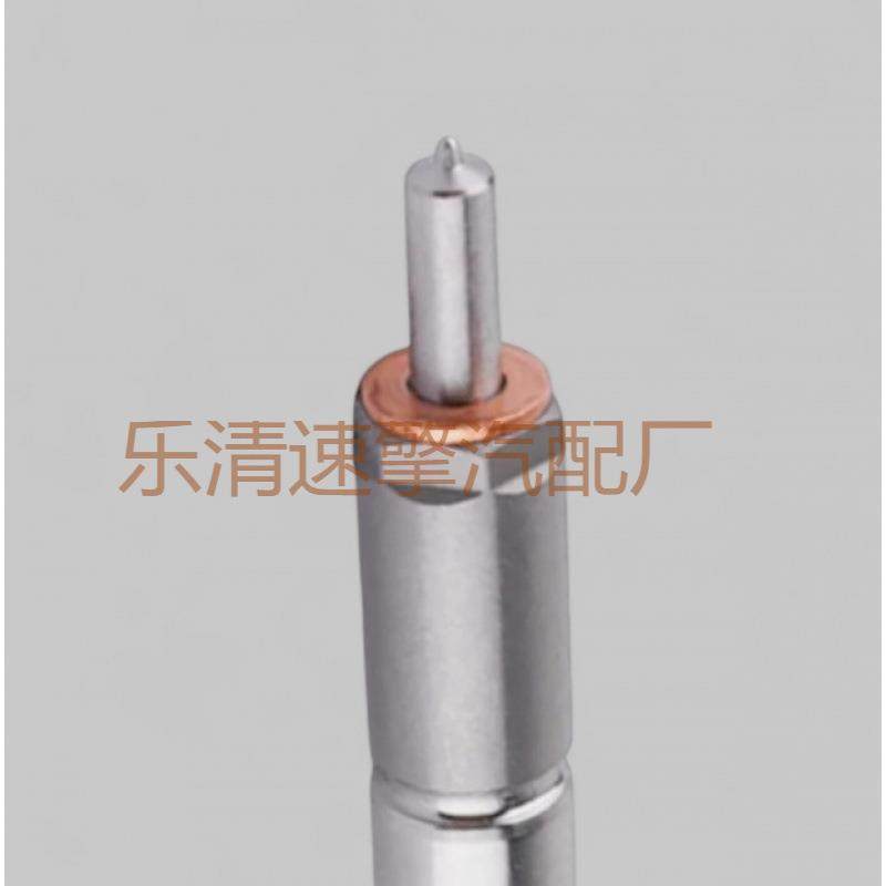 FIAT 柴油电喷高压共轨喷油器总成喷油嘴0445110326,鲜花速递/花卉仿真/绿植园艺,割草机/草坪机,淘宝优惠券,粉丝福利购,淘宝优惠卷