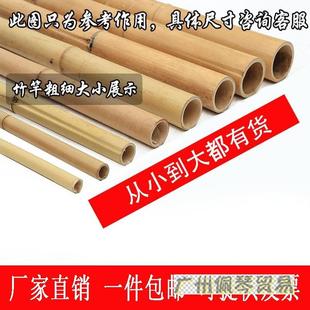 竹杆竹子楠竹隔断毛竹粗细竹竿民宿吊顶室内装 饰竹竿防腐鸥昊 修装