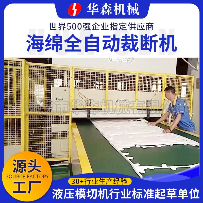 厂家供应EVA下料机海绵全自动裁断机橡胶塑料汽车内饰地毯裁断机