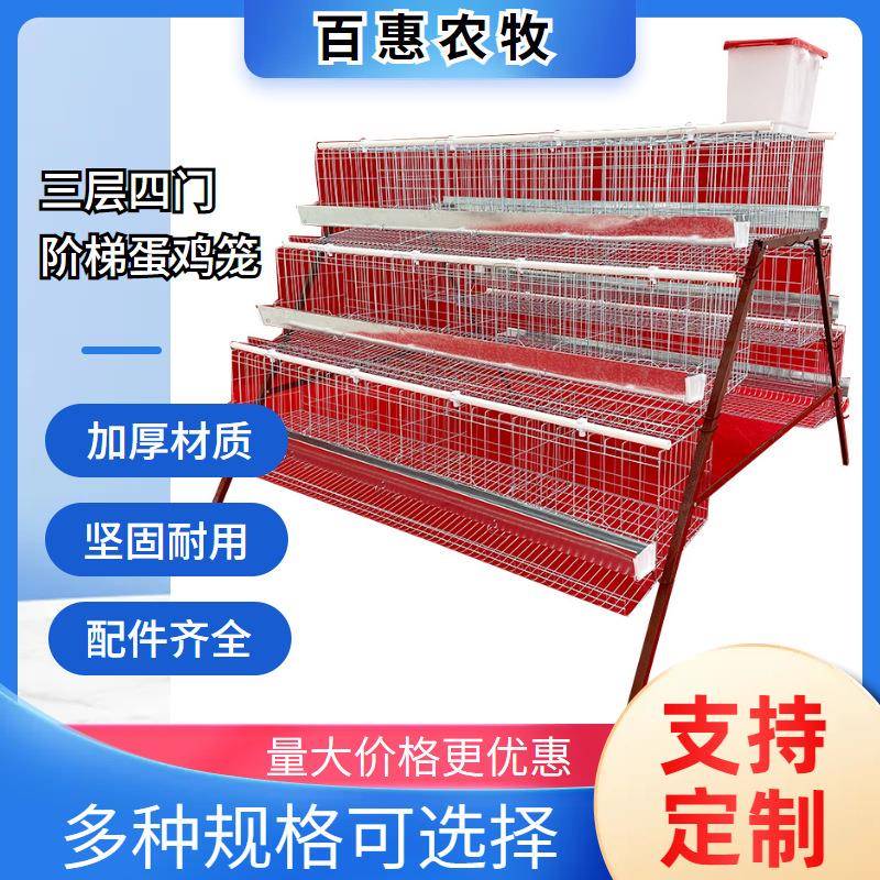 养殖场用三层四门蛋鸡笼设备热镀锌多层阶梯式笼养鸡设备厂家直销