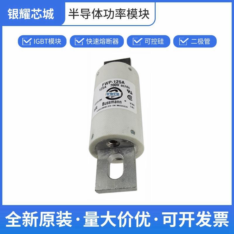 FWP-125A 直流快速熔断器 保险丝 高压熔断器熔芯 巴斯曼闪发