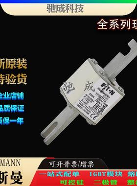 巴斯曼170M3173 170M3188 170M3189 厂家直供直销价优 快速熔断器