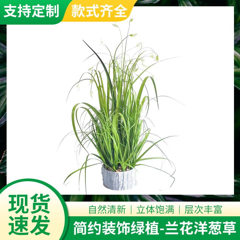 仿真洋葱草盆栽小兰花 家居装饰品仿真花盆栽 迷你洋葱草盆栽