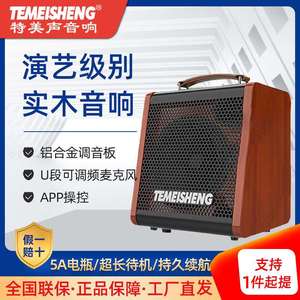 特美声JT06-53户外手提音响吉他乐器演奏弹唱音箱演出直播一体机