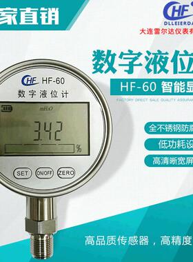 智能数字液位计 精密 HF-60电池供电水位显示表