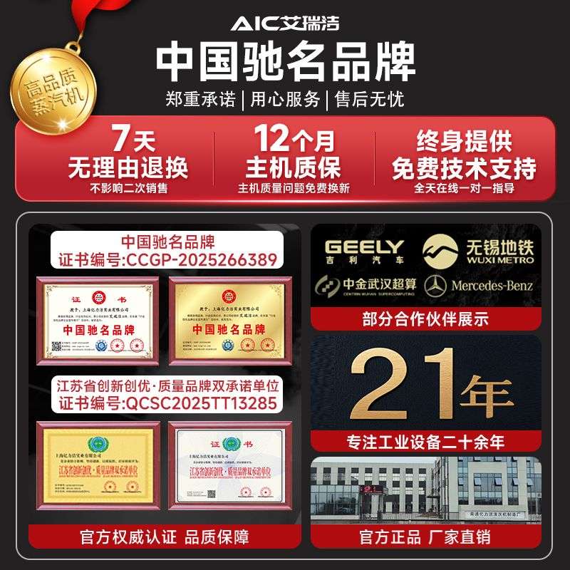 工业级蒸汽清洁机 高温高压清洗机 洗车用艾瑞洁大功率蒸汽机 消