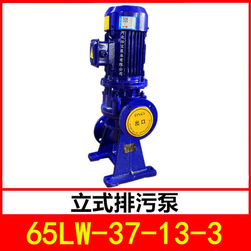 立式排污泵65LW37-13-3管道污水泵