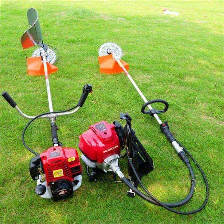 背负式汽油除草机 果园农田锄草松土机 二四冲程小型家用割草机,鲜花速递/花卉仿真/绿植园艺,割草机/草坪机,淘宝优惠券,粉丝福利购,淘宝优惠卷
