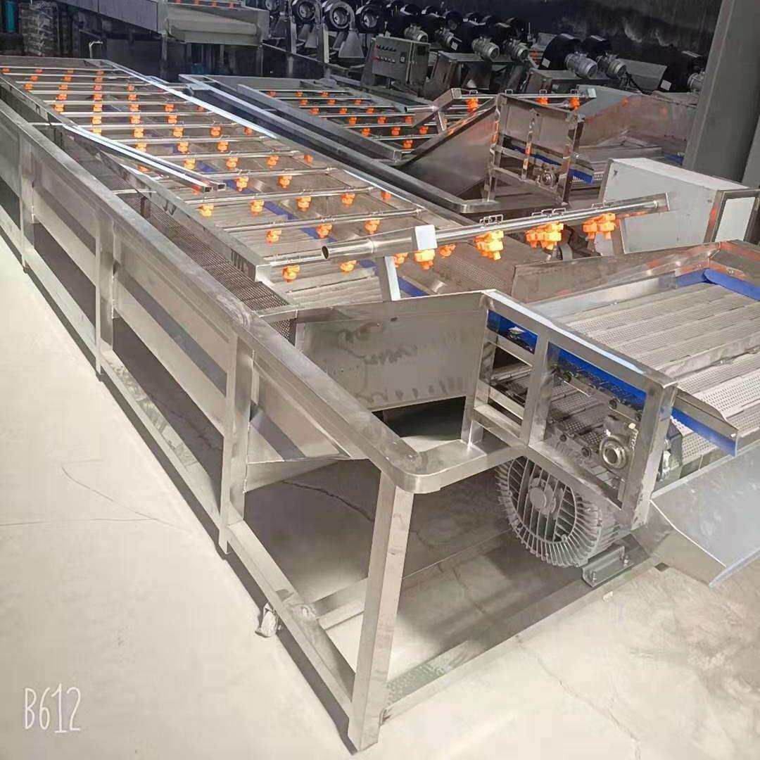 茂晨气泡清洗机 叶类清洗机 云南芒果清洗机 不锈钢果蔬清洗机