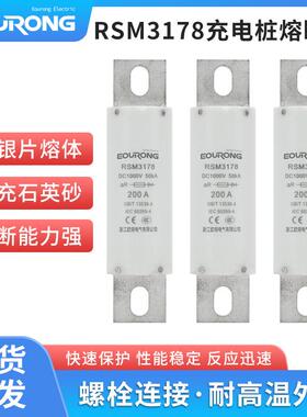RSM3178熔断器DC1000V充电桩熔断器RS309 规格齐100A 200A 量大