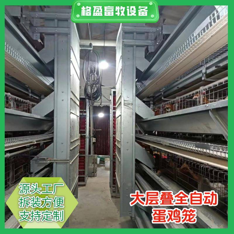 全自动大层叠蛋鸡笼层叠式养鸡设备自动捡蛋清粪可按需制作