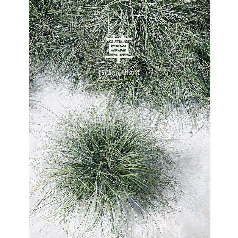 绿色植物草垛草丛室内景观造景搭配落地盆栽仿真小草弯草蒲草园景