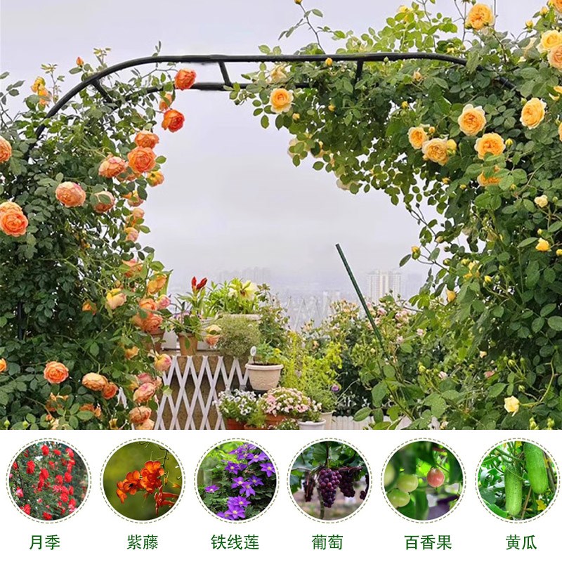 包塑钢管拱门花架户外花园镀锌园艺架子月季爬藤架别墅拱形葡萄架