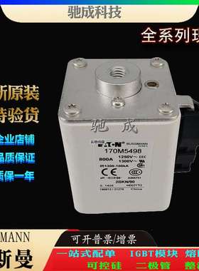 巴斯曼170M5498 170M5499 170M5500 销售供应零售  原装熔断器