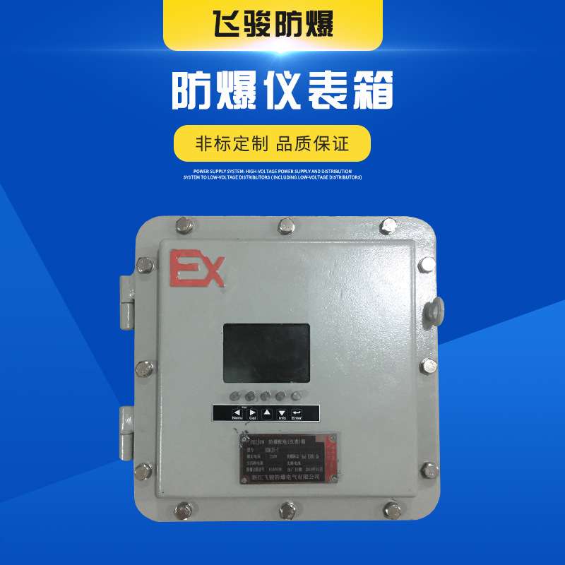 带可视窗防爆仪表箱，带按键操作电子称控制器智能防护