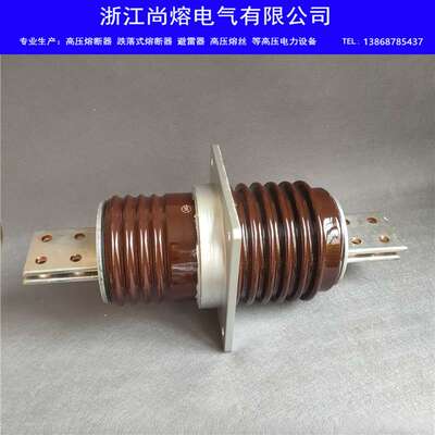 电站接线铜牌穿墙套管CWC-CWW-20KV/630A2000A3150A4000A专用陶瓷