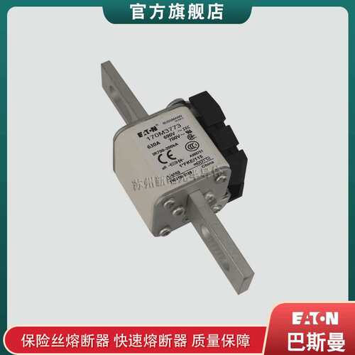 170M3769 3770 3771 3772 3773 巴斯曼bussmann快速熔断器保险丝