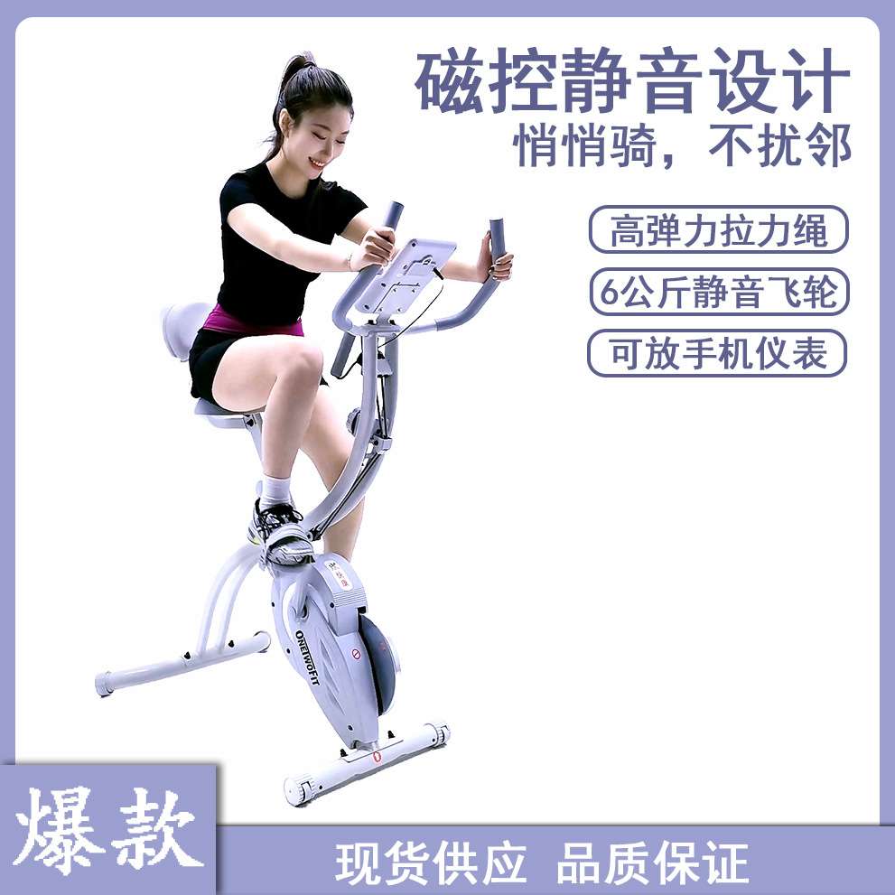 原厂一件代发折叠健身磁控健身车家用健身车折叠健身车Xbike