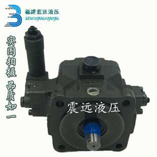 50S ANSON叶片泵 VP5F