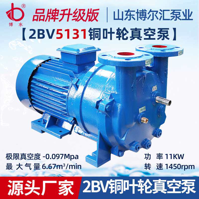 2BV5131水环式真空泵雕刻机专用泵 灯泡吸附真空泵11kw铜叶轮泵