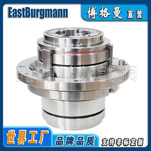 博格曼LP-D-SA-D4S/0-DE密封件造纸印染压力筛机封耐高压
