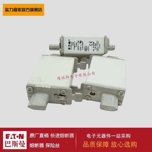 熔断器170M0223 170M0224 170M0225 170M0226 170M0259 170M0260