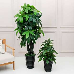 人造仿真植物吉祥发财树盆栽绿色植物大型装饰盆景客厅落地仿真树