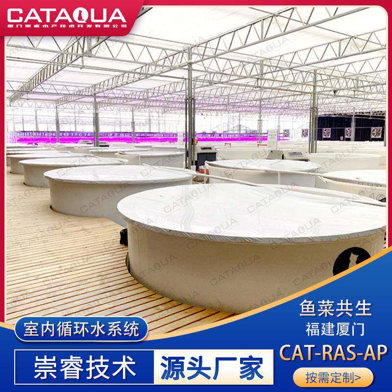 温室大棚鱼菜共生生态种养技术无土栽培工厂化循环水养殖系统