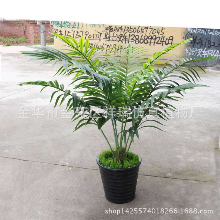 仿真植物迷你盆栽散尾葵叶树过胶棕榈科葵叶细葵叶落地盆景