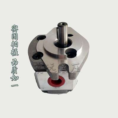 液压齿轮泵HGP-2A-F2R/F3R/F4R/F5R/F6R/F8R/F9R/F11R/F11.5R/F12