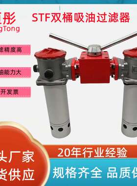 STF双桶吸油过滤器 TF-25 40 63 100吸油回油过滤器稀油站滤油器