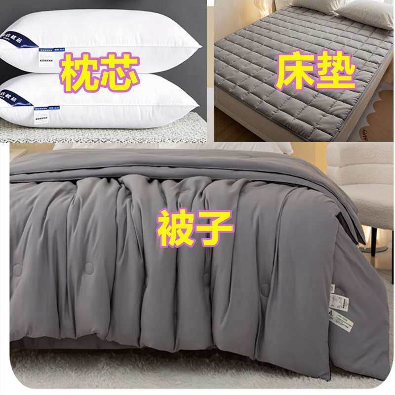 床垫枕芯全套棉被芯夏被春秋被褥套装三件学生单人宿舍被子,3C数码配件,USB灯,淘宝优惠券,粉丝福利购,淘宝优惠卷