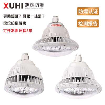XHF系列20W30W40W50W60W防水防腐防尘照明灯厂房车间工矿.防爆