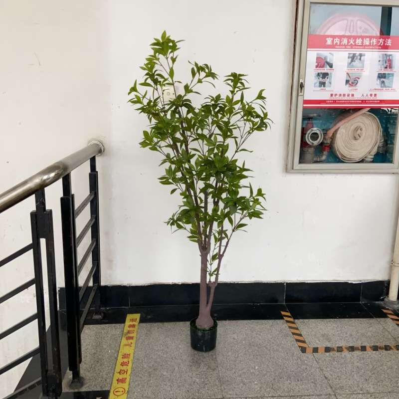工厂店仿真马醉木 植物盆栽小树假树小叶吊钟家居橱窗造景套装