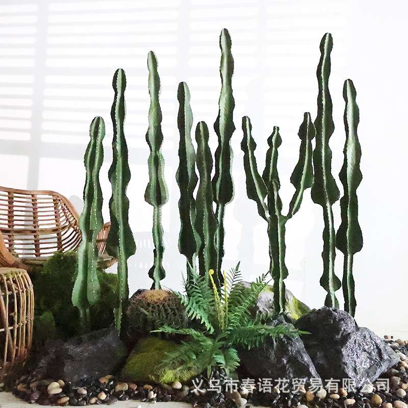 仿真假仙人掌绿植盆栽装饰花槽摆件拍照墙简约背景沙漠植物盆景
