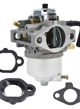 492256 化油器 Briggs & Stratton 260000 261000 草坪机 发动机