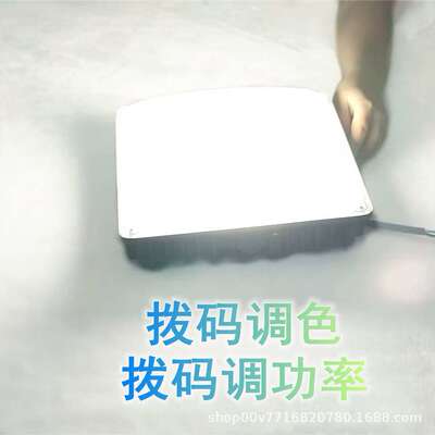 40W 60W SAA CE CB摇杆拨码三色三功率切换省库存LED油站灯canopy